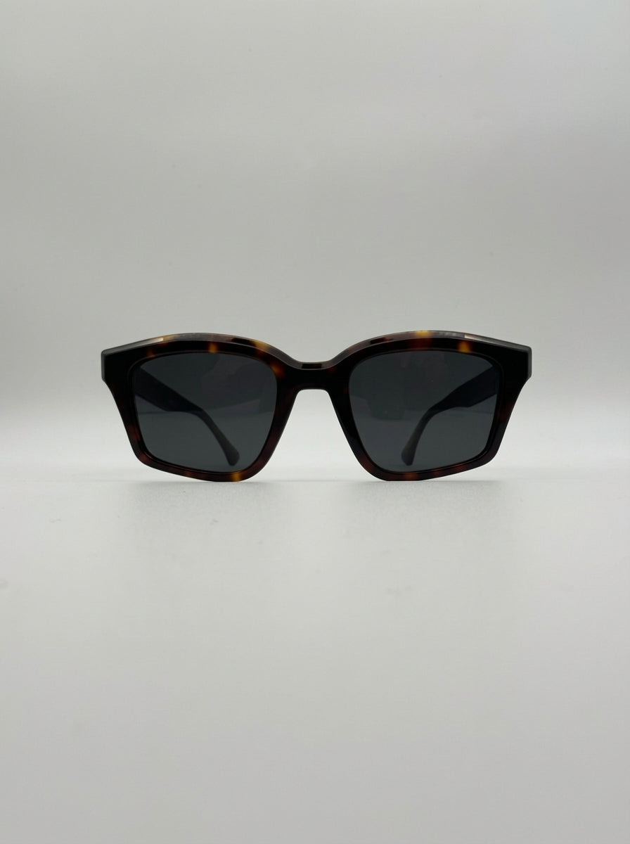 Copenhagen - Tortoise