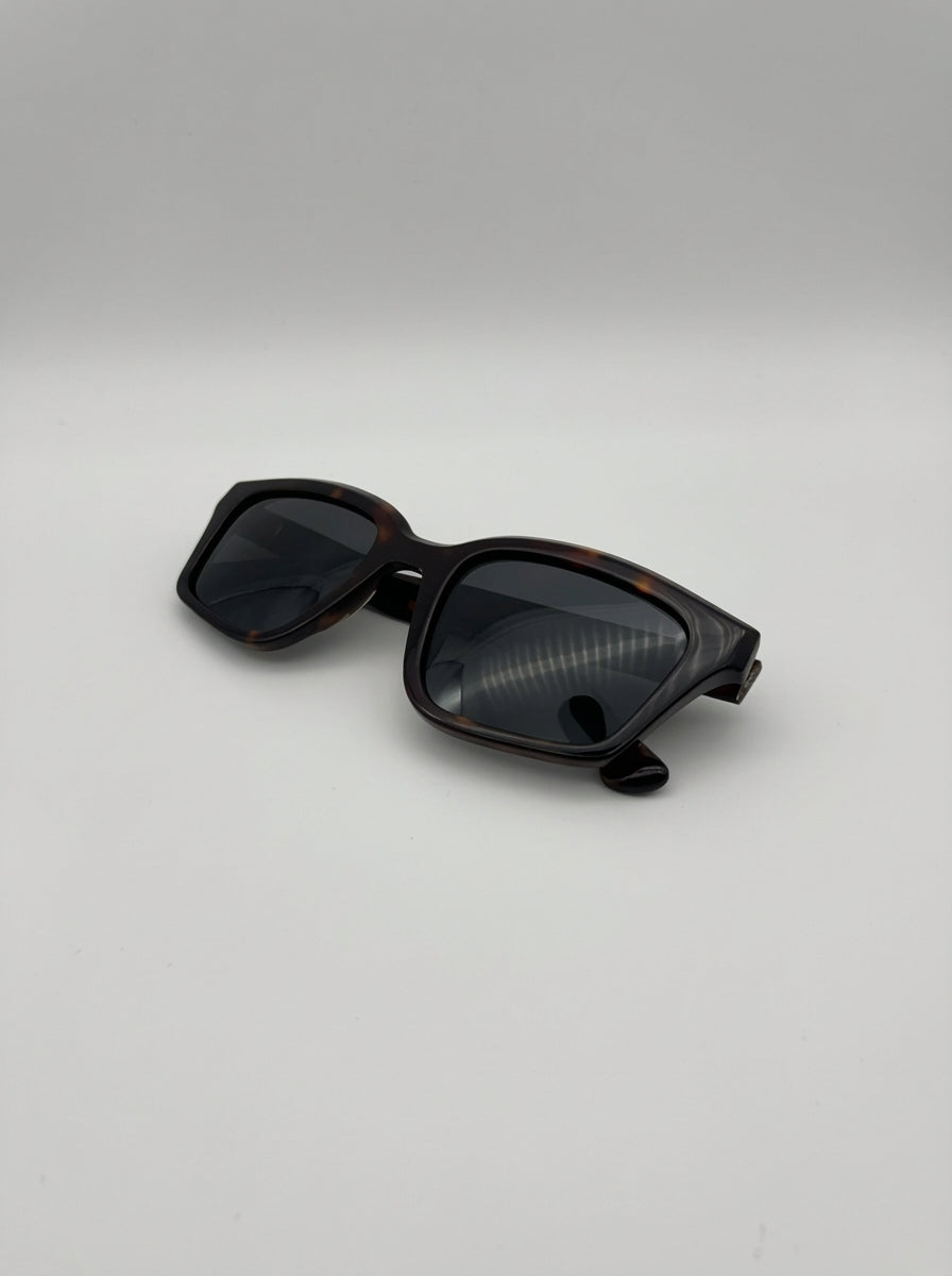 Copenhagen - Tortoise